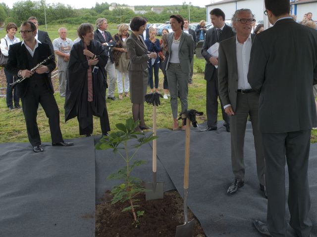 Weira, Germany Planting a seedling of the Anne Frank Tree